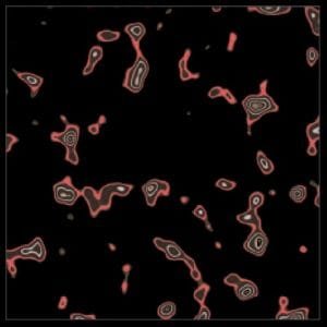 DynamicGradient Preview Out