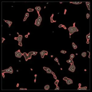 DynamicGradient Preview Out